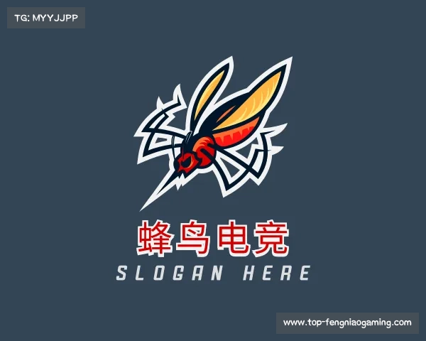 发现蜂鸟电竞